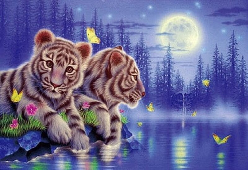 White Tiger Cubs — Blue, Serene