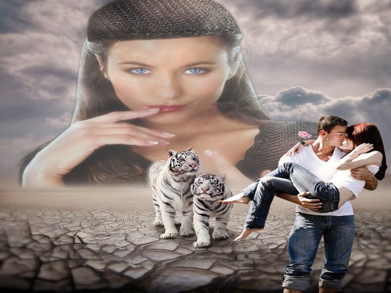 White Tiger Cubs — Gray