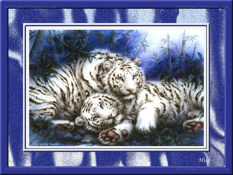 White tiger cubs in bamboo