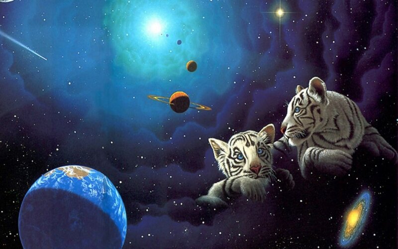 White Tiger Cubs in Space — Blue, Dreamy