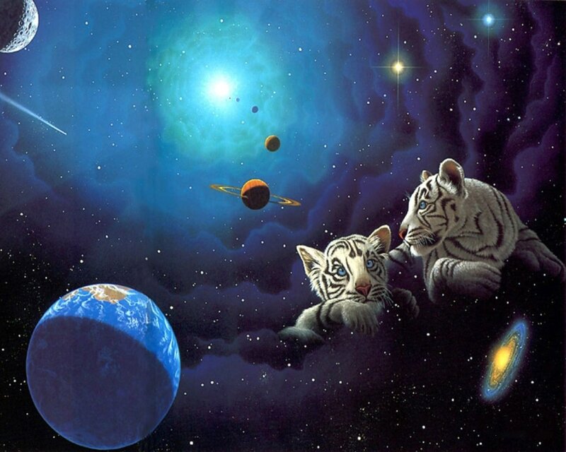 White Tiger Cubs in Space — Blue, Serene