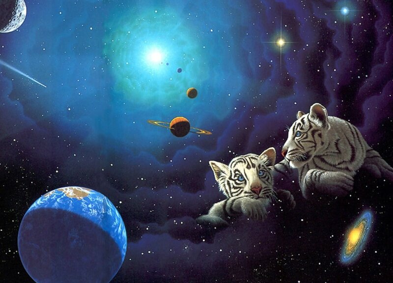 White Tiger Cubs in Space — Blue
