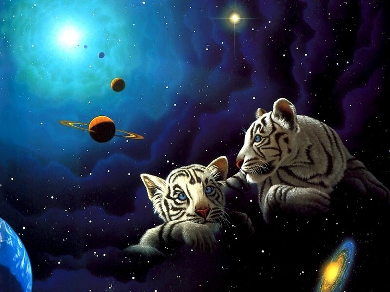 White Tiger Cubs in Space