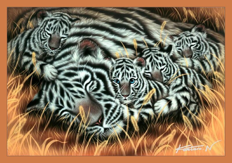 White Tiger Cubs — Orange