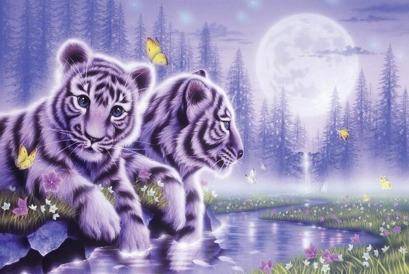 White Tiger Cubs