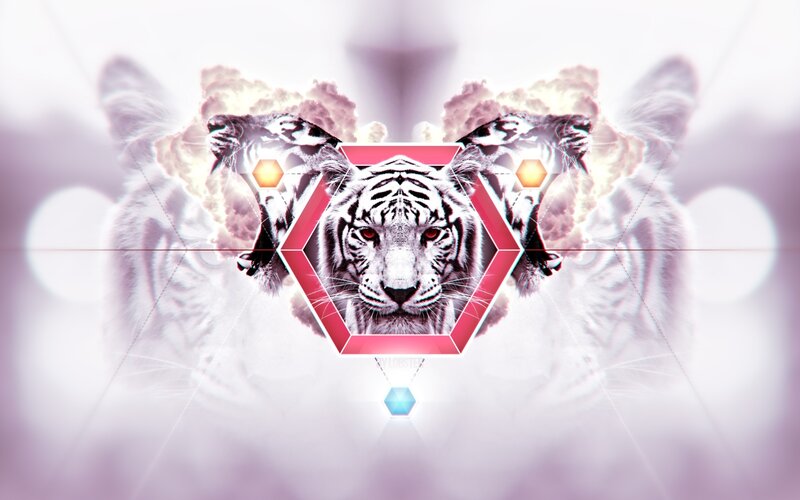 white tiger digital art
