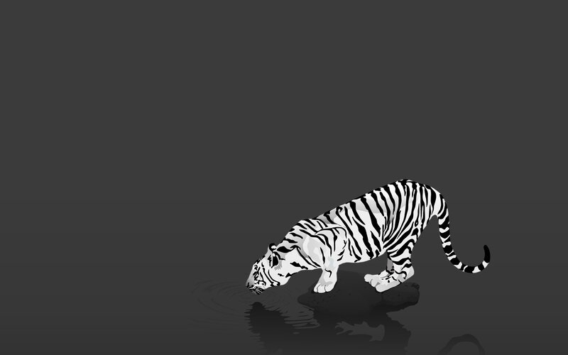 White Tiger Drinking Water — Black, Calm, Digital Art