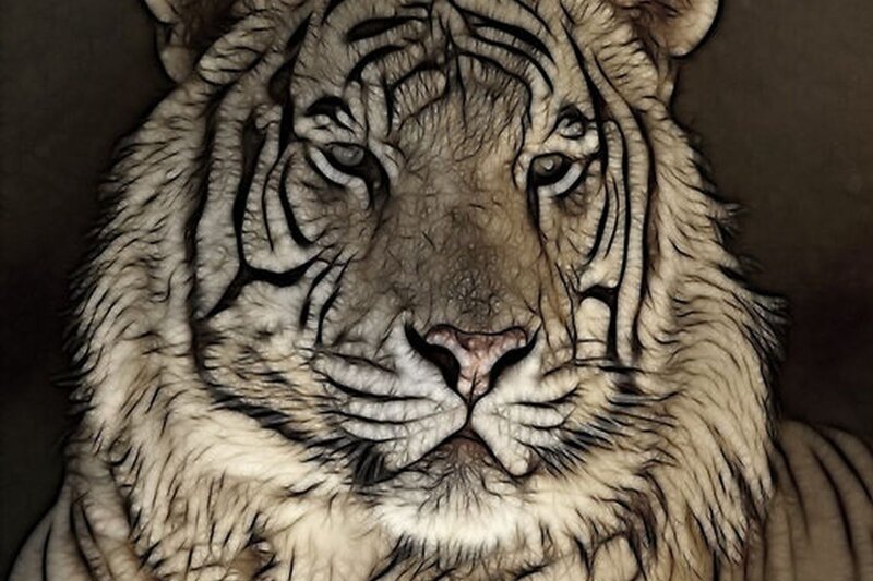 White Tiger Face — Brown, Intense, Digital Art
