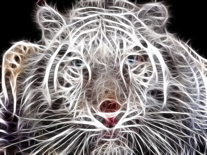 White Tiger Face — Dramatic, Digital Art