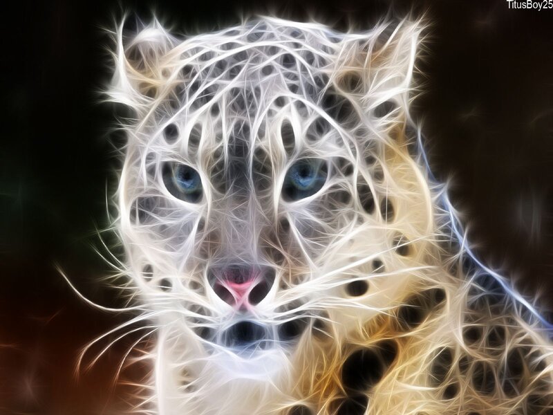 White Tiger Face — Dramatic