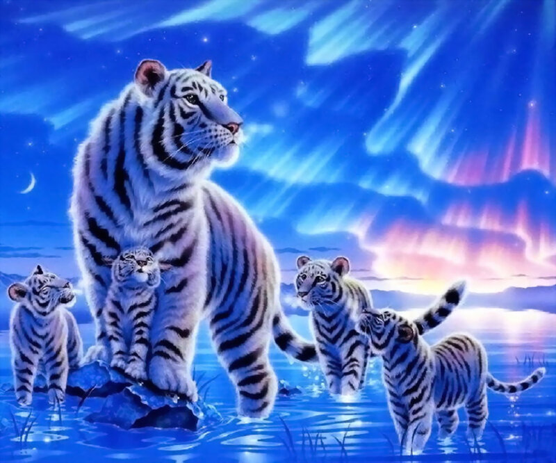 White Tiger Family — Blue, Serene, Night, Digital Art, Cubs