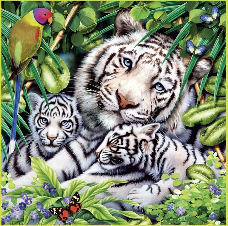 White tiger family in jungle