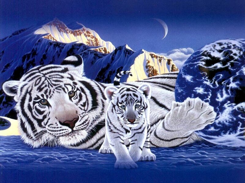 White tiger family in snowy landscape