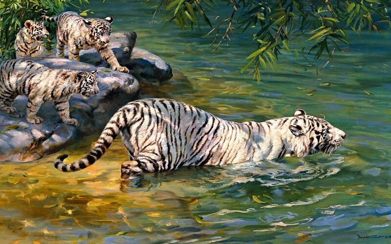 White Tiger Family in Water — Green