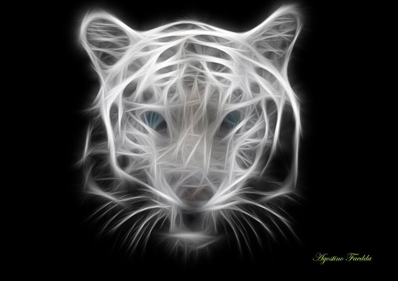 White Tiger Head — Black, Dramatic, Digital Art, Eyes