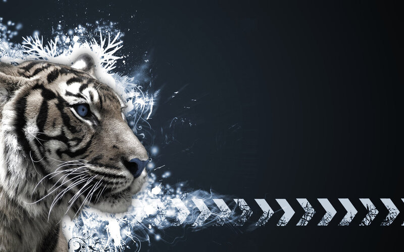 White Tiger Head — Black, Dramatic, Digital Art, Snowflakes