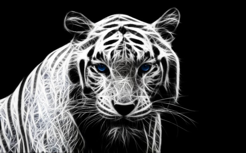 White Tiger Head — Black, Dramatic