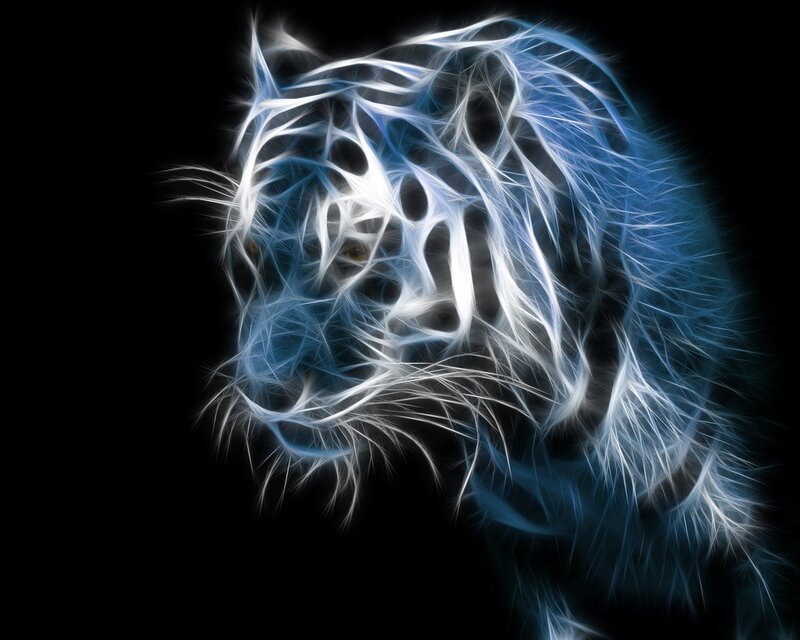 White Tiger Head — Blue, Digital Art