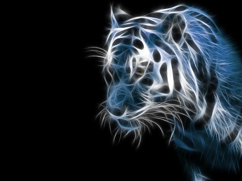 White Tiger Head — Blue, Dramatic, Digital Art, Black Background, Black