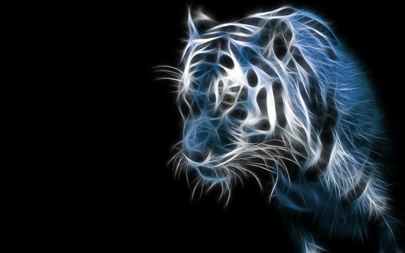 White Tiger Head — Blue, Dramatic, Digital Art, Eyes