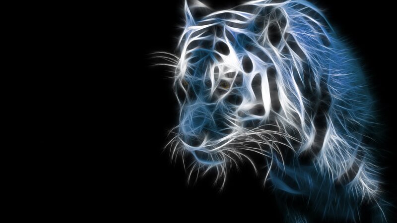 White Tiger Head — Blue, Dramatic, Digital Art, Eyes, Whiskers