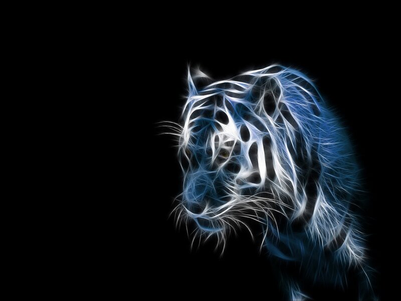 White Tiger Head — Blue