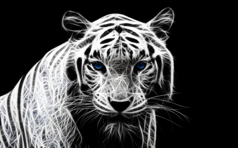 White Tiger Head — Dramatic, Digital Art, Blue Eyes