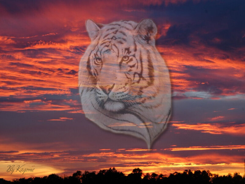 White Tiger Head — Orange