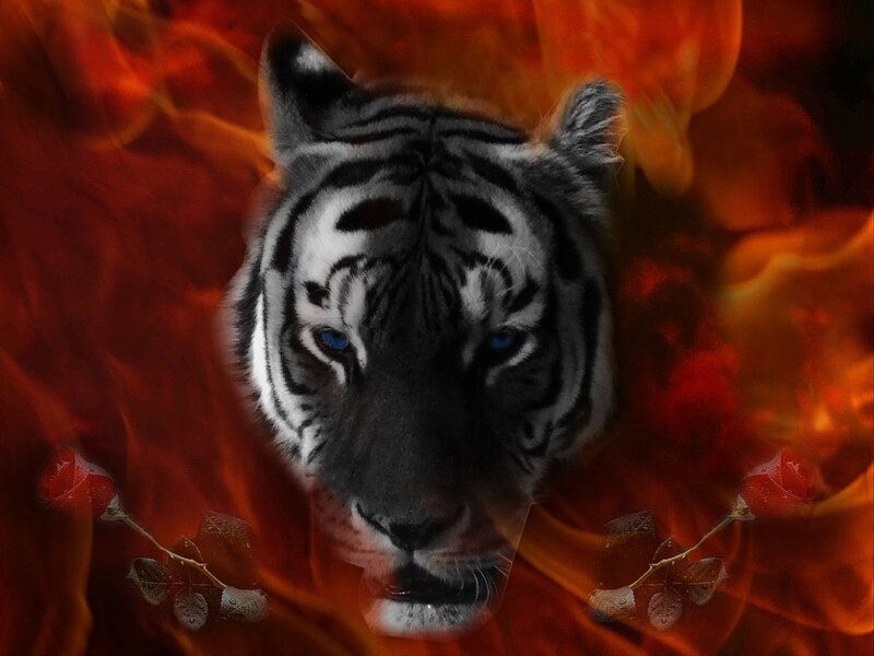 White Tiger Head — Red, Dramatic