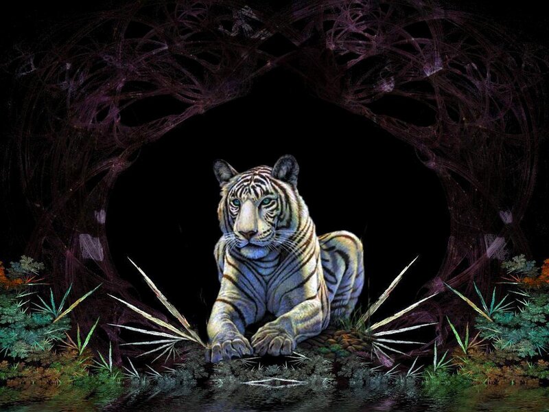 White tiger in a dark forest