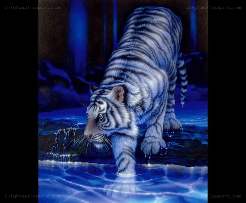 White tiger in blue water