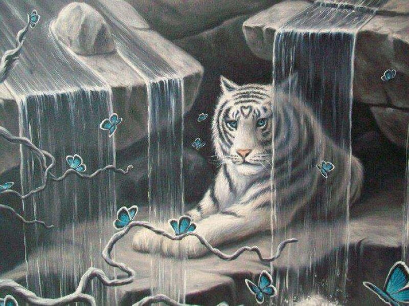 White Tiger in Cave