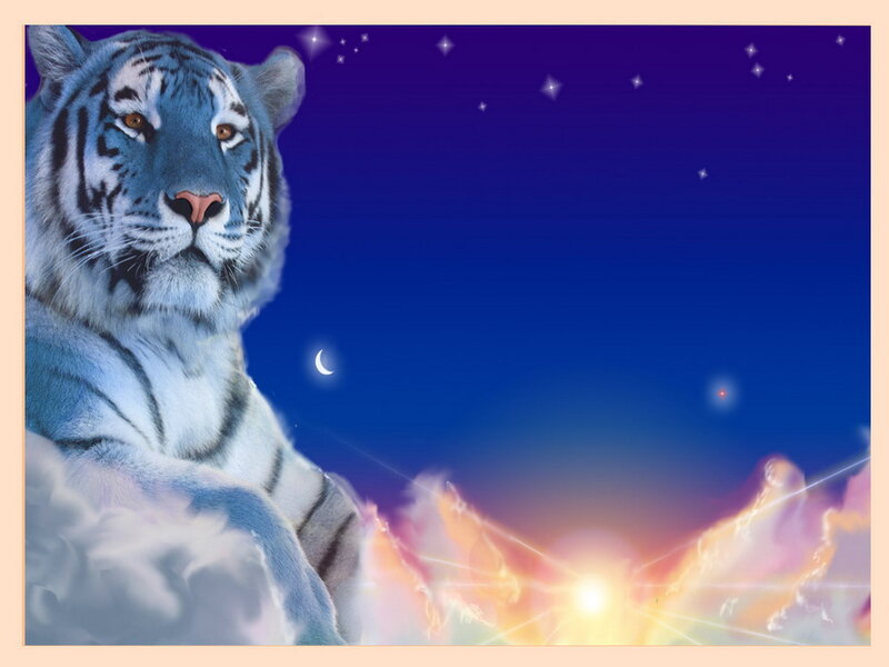 White Tiger in Clouds