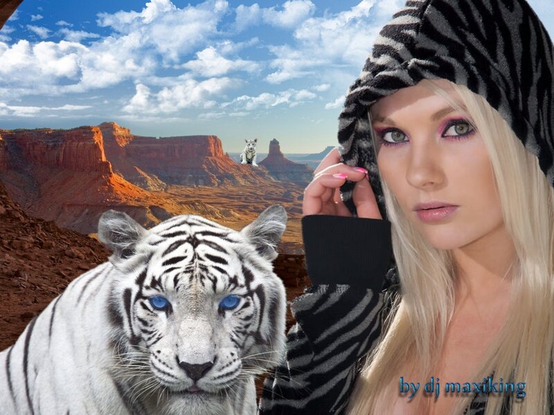 White Tiger in Desert