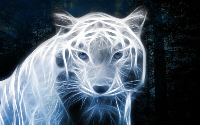White Tiger in Forest — Blue