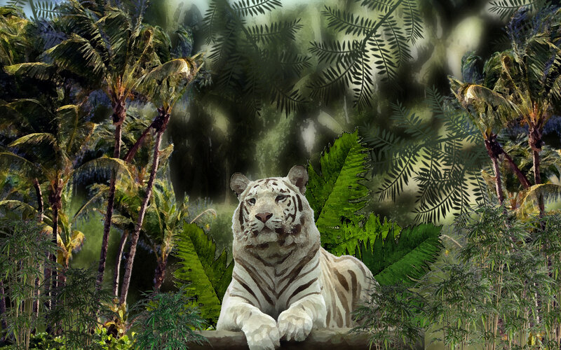 White tiger in jungle