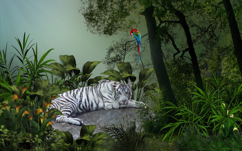 White tiger in jungle