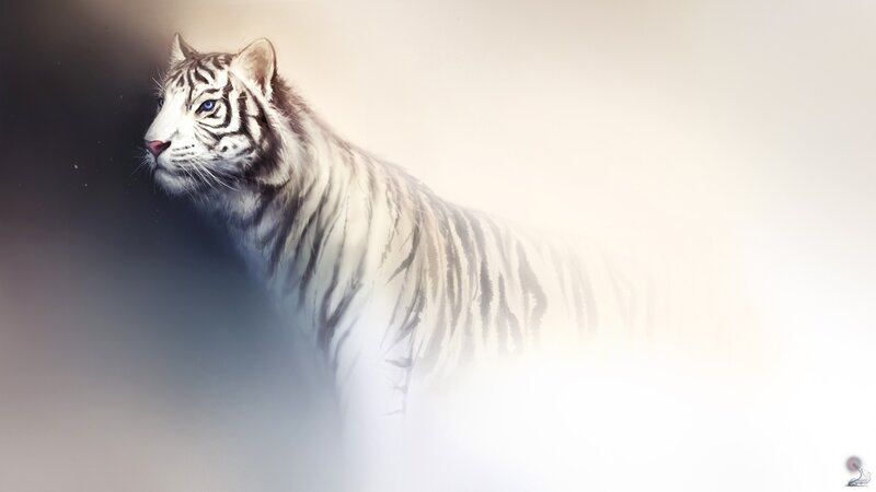 white tiger in mist