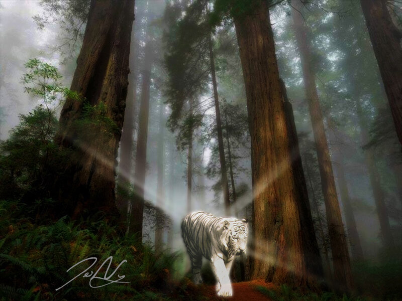White tiger in misty forest