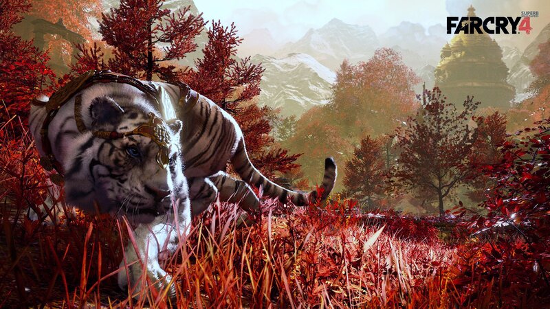 White Tiger in Red Grass