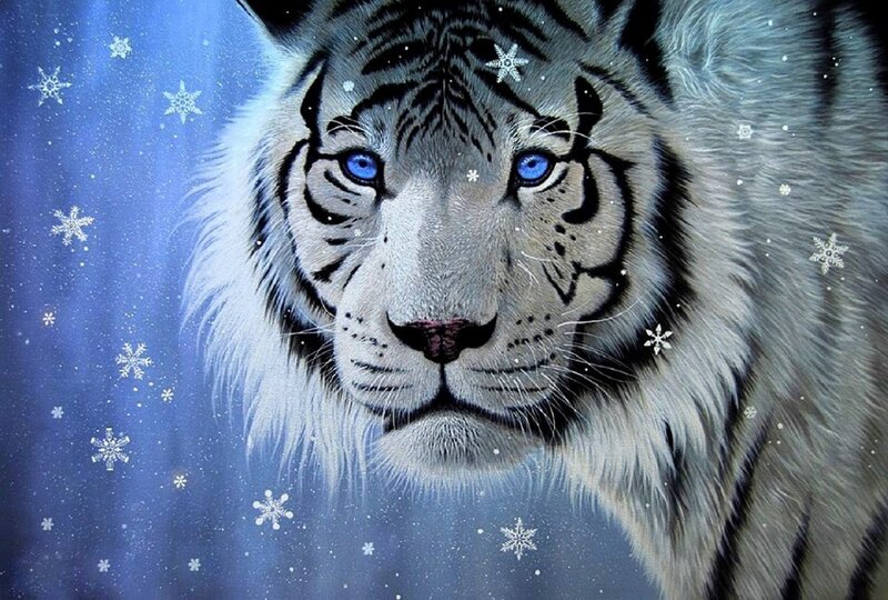 White Tiger in Snow — Blue, Dramatic, Winter