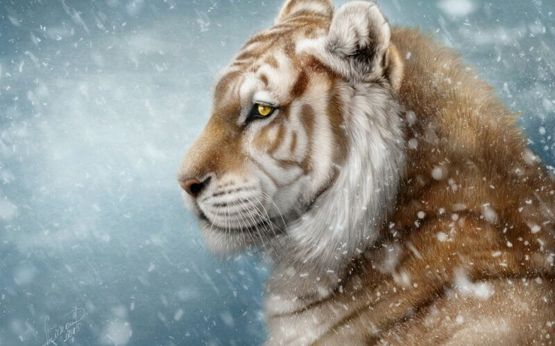 White Tiger in Snow — Brown