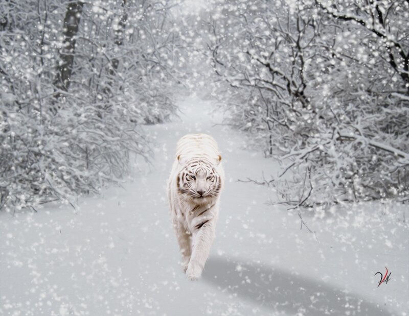 White Tiger in Snow — Dramatic, Winter, Digital Art
