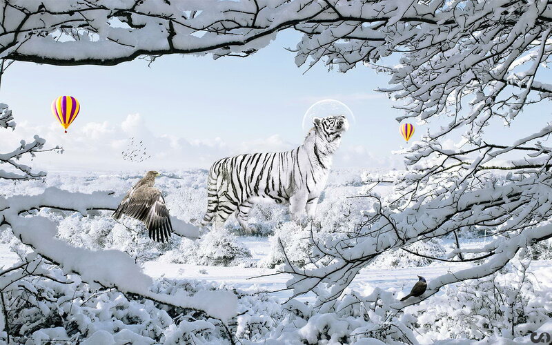 White Tiger in Snow — Serene, Winter, Digital Art, Hot Air Balloon