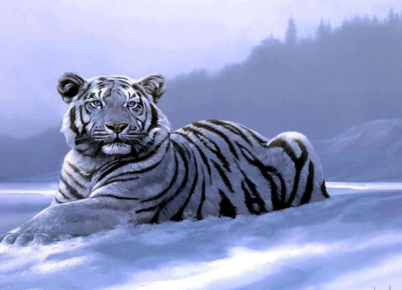 White Tiger in Snow — Serene, Winter, Digital Art, Mountain