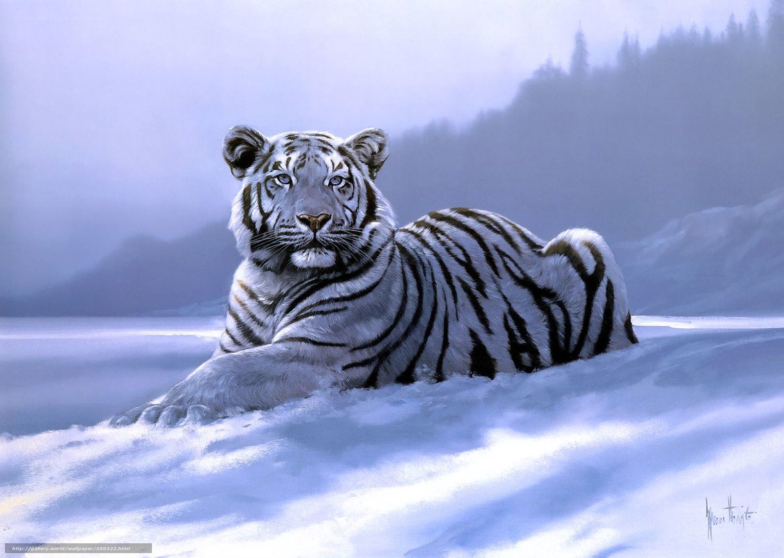 White tiger in snowy landscape