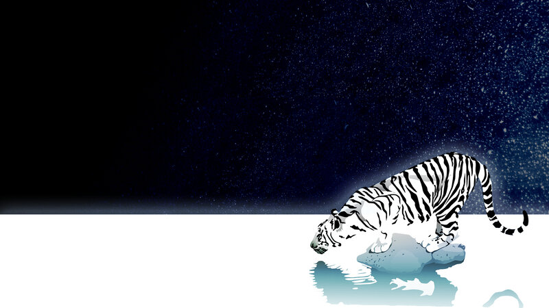 white tiger in snowy night