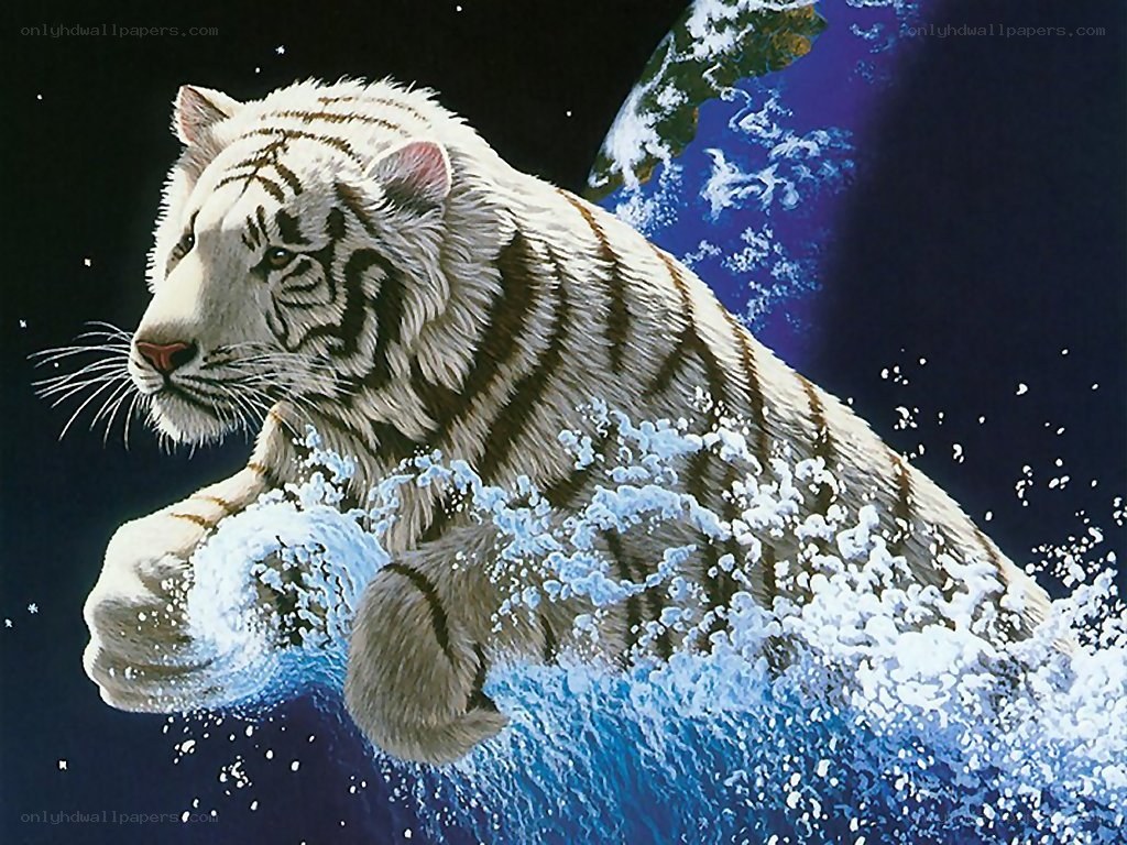 White tiger in space