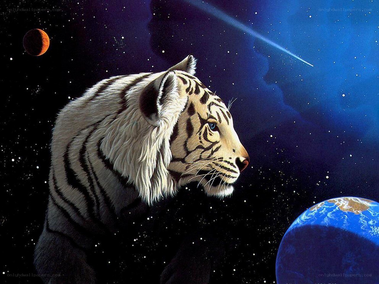 White tiger in space