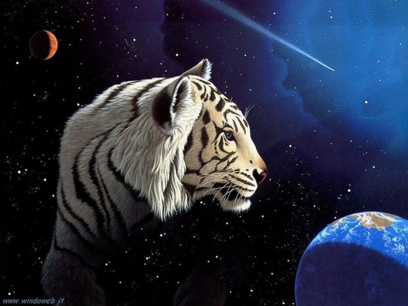 White tiger in space